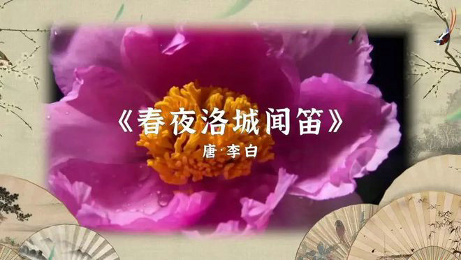 央视剧评 ｜《大美中国诗话清明》：“节日+”的新探索