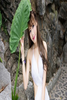 乱世芳华