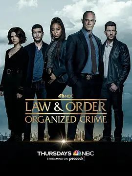 法律与秩序:组织犯罪 第三季