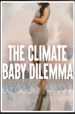 The Climate Baby Dilemma2022