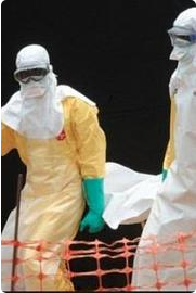 寻找治愈埃博拉病毒的方法2014