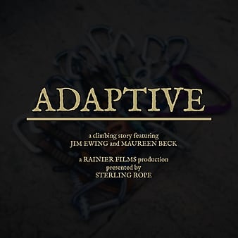 Adaptive2019
