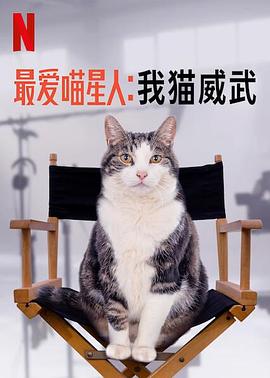 讲述猫中乔治克鲁尼的故事#最爱喵星人:我猫威武-影视解说