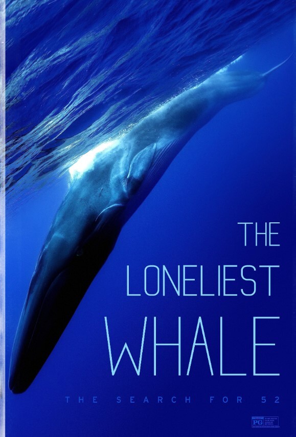 最孤独的鲸:寻找52