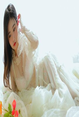 芝加哥故事 第六季