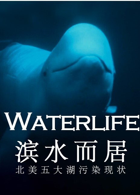 滨水而居:北美五大湖污染现状