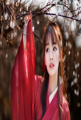 女房客2020