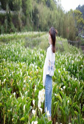 天师撞邪