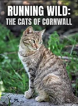 Running Wild: The Ca of Cornwall2020