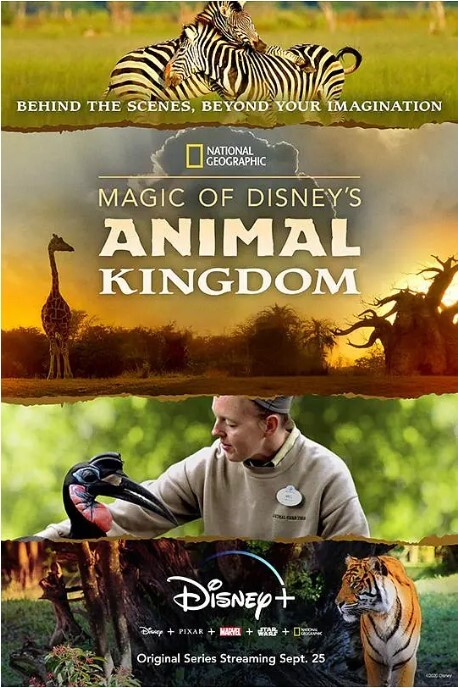迪士尼动物王国 第二季