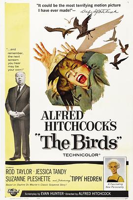 群鸟1963-影视解说
