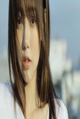 宠物1973
