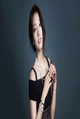 科搜研之女 第十二季