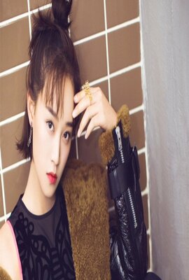 铁杉树丛 第二季