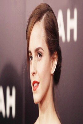 铁杉树丛 第三季