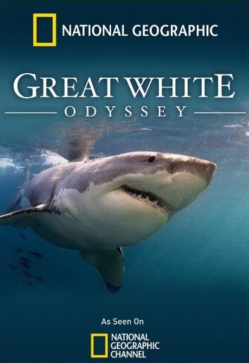 国家地理:大白鲨的长途冒险旅程