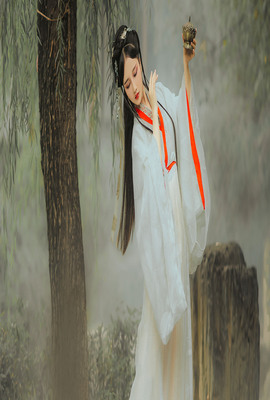 影子勇士2