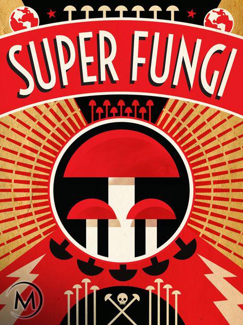 Super Fungi