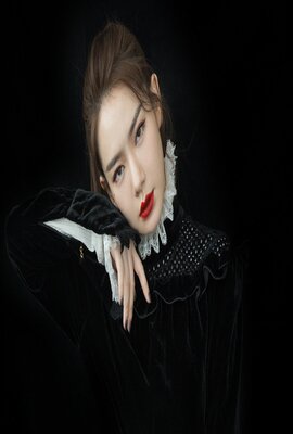 铁杉树丛 第一季