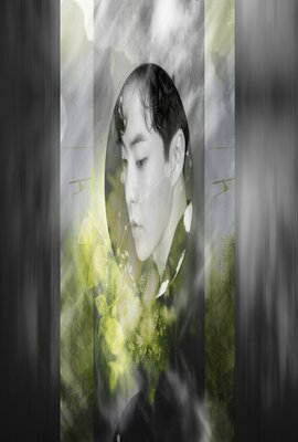 比翼/Smafuglar