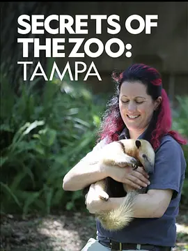 动物园秘辛:坦帕湾 第一季