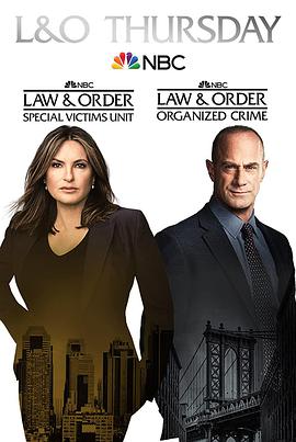 法律与秩序:特殊受害者 第二十三季