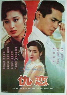 仇恋1993-影视解说