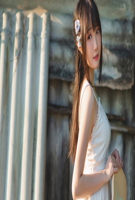 101次求婚2013