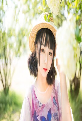 植物学家的中国女孩/植物学家的女儿