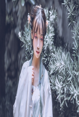 台风 태풍