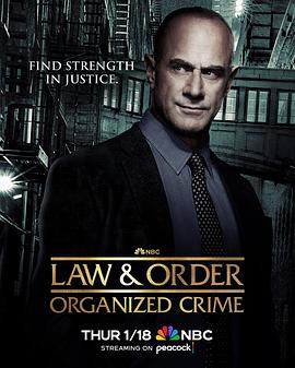 法律与秩序:组织犯罪 第四季