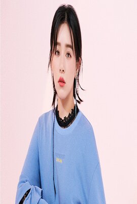 夺镖2019