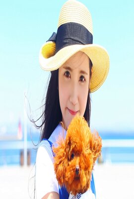 青春环游记