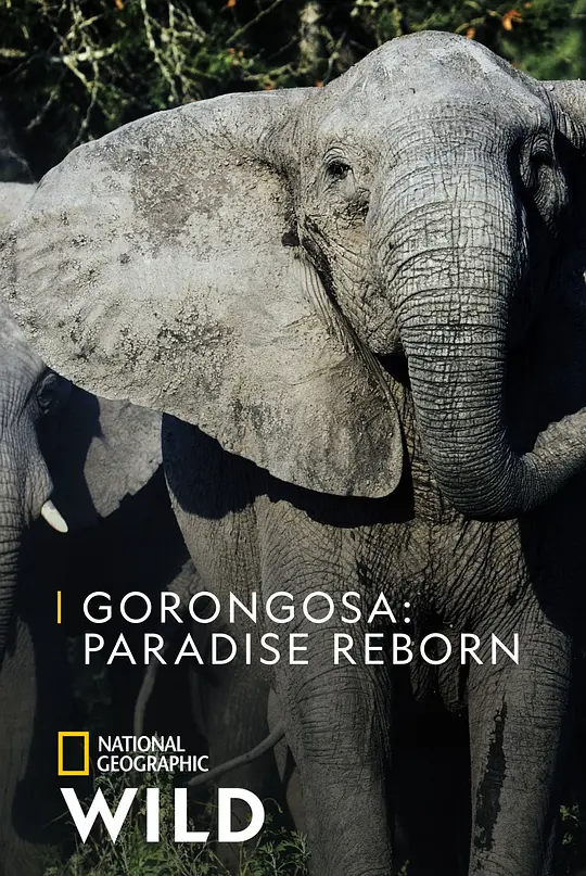 Gorongosa Paradise Reborn2022